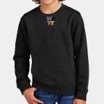 WJYT - Youth V.I.T. Fleece Crew Thumbnail