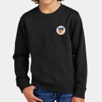 WJYT - Youth V.I.T. Fleece Crew Thumbnail