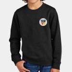 WJYT - Youth V.I.T. Fleece Crew Thumbnail